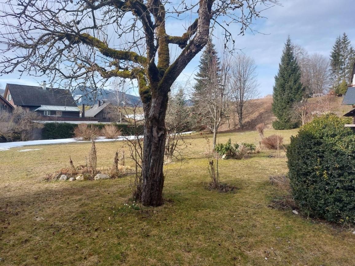 Ferienwohnung Salzafeld Bad Mitterndorf Exteriér fotografie